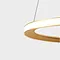 modern pendant lighting,gold pendant light and ring light